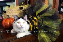 DIY-Cat-Bee-Costume