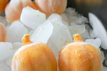 DIY-Frozen-Yogurt-Pumpkin-Treats