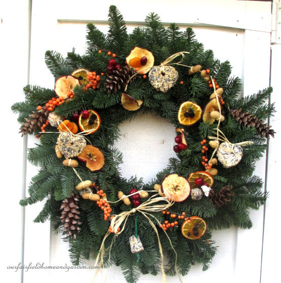DIY Holiday Wreath Bird Feeder - petdiys.com