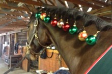 DIY-Christmas-Ornament-Horse-Mane