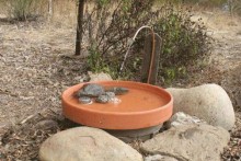 DIY-Solar-Powered-Fountain-Birdbath