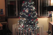 DIY-Christmas-Tree-Picket-Fence