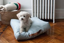 DIY-Dog-Cushion-Bed