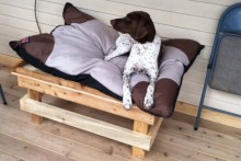Pallet-Raised-Dog-Bed